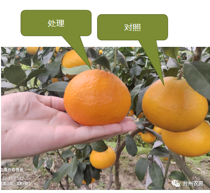 1675666647511992.png 640 (56).png